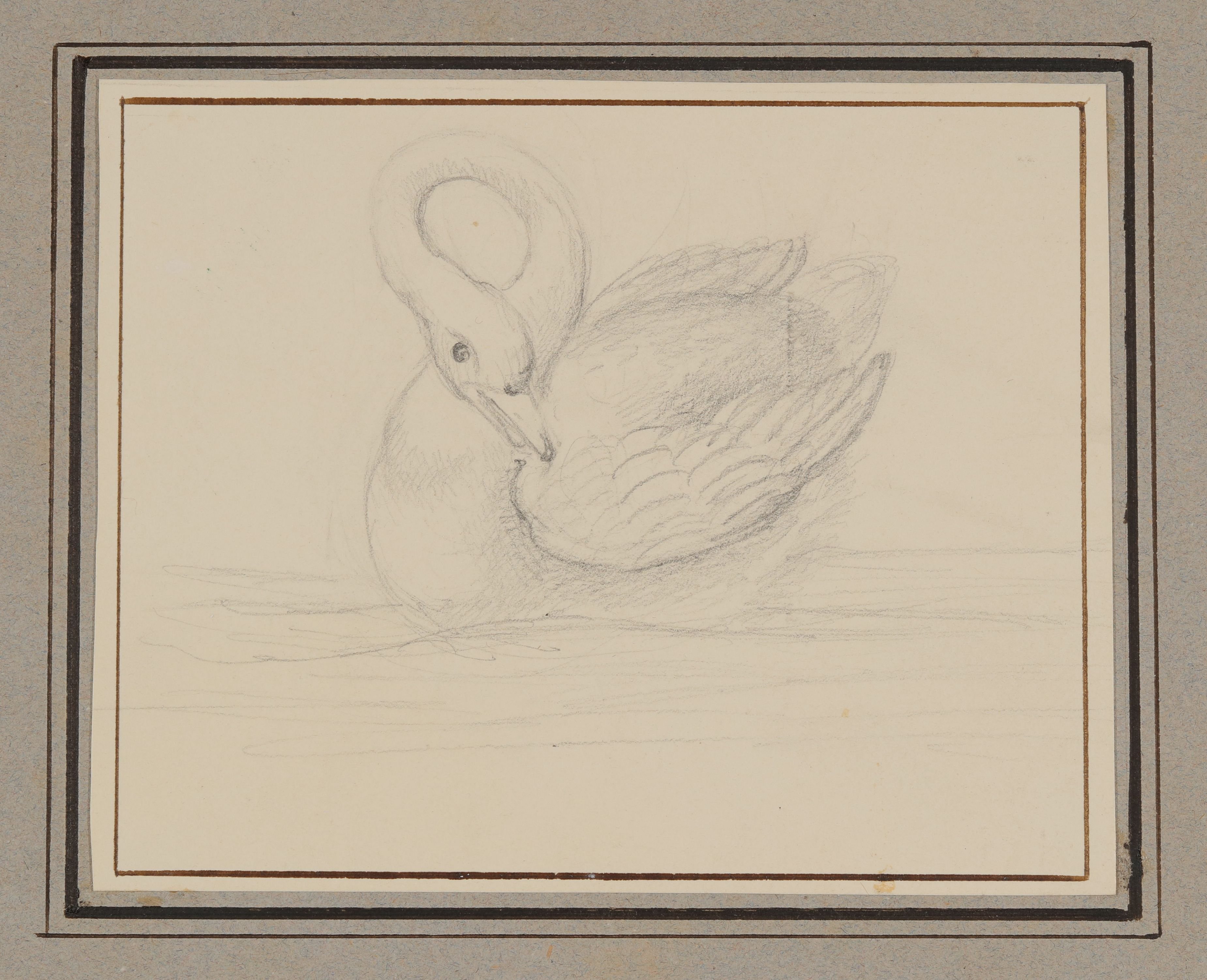 Armgart von Arnim, Schwan [aus der "geblümten Kassette"]