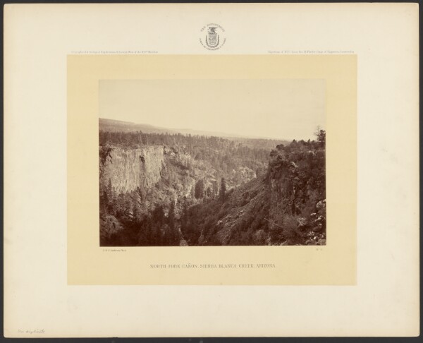 Timothy H. O'Sullivan, North Fork Cañon, Sierra Blanca Creek, Arizona