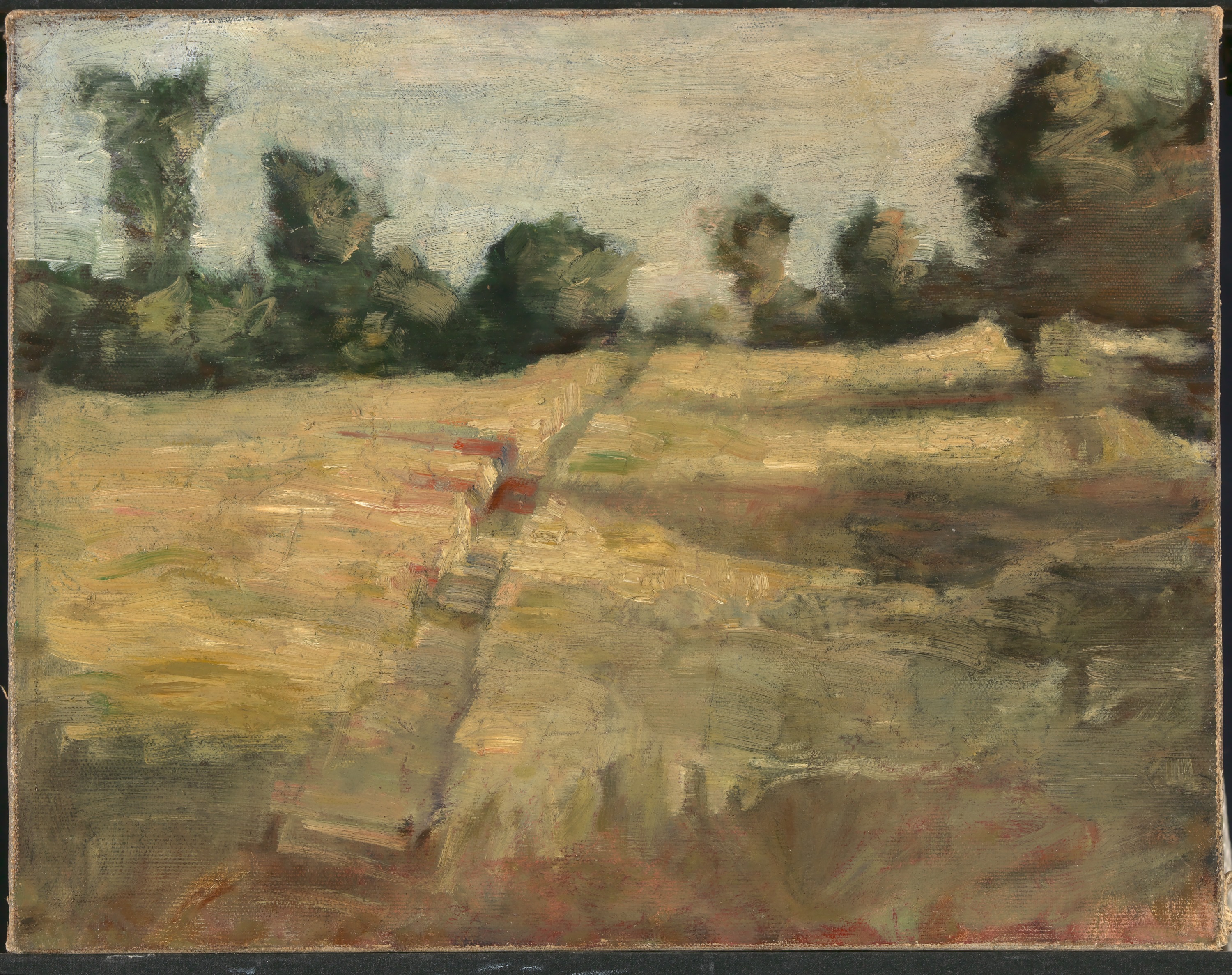 Alice Pike Barney, The Field