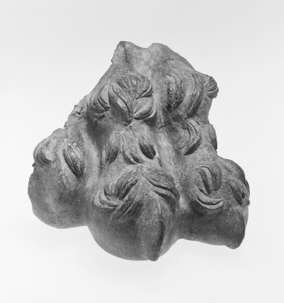Unknown, Paw from Statue of a Lion
