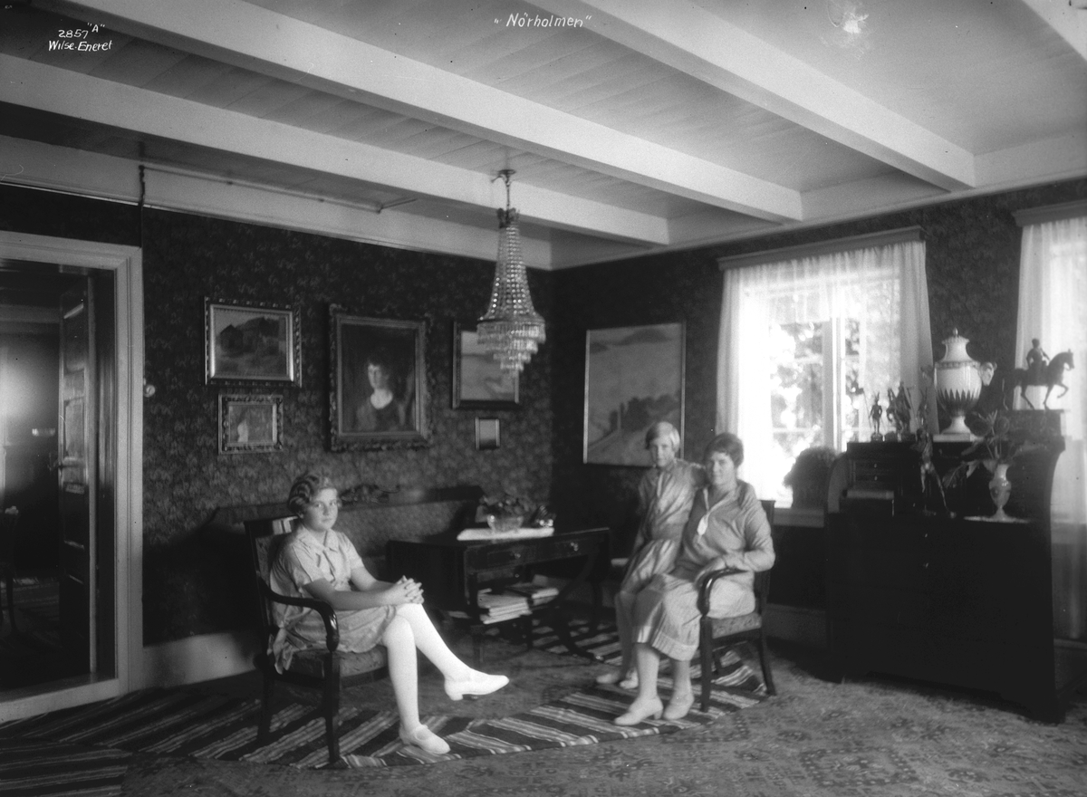 Anders Beer Wilse, Prot: Hamsun gruppe i stuen 8/6