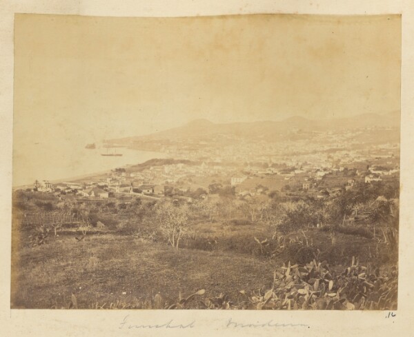 Unknown, [View of Funchal, Madeira]