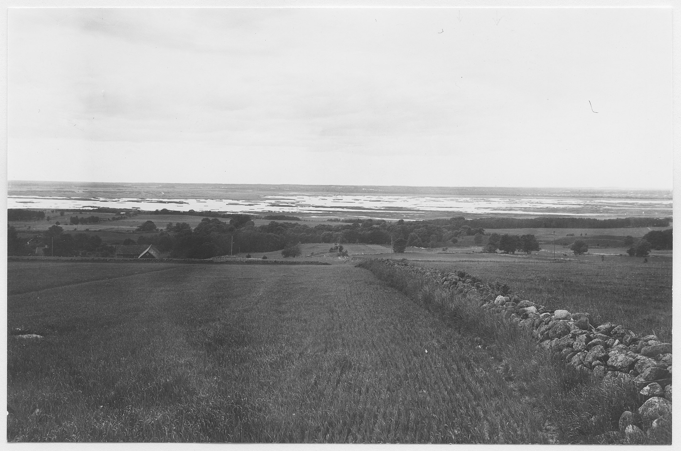 Mårten Sjöbeck, Hornborgasjön