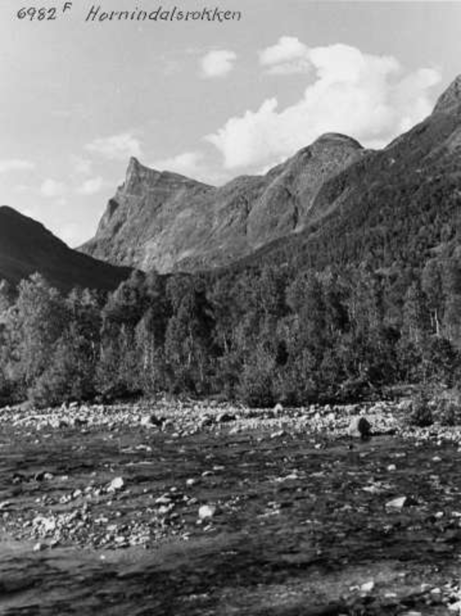 Anders Beer Wilse, -6779