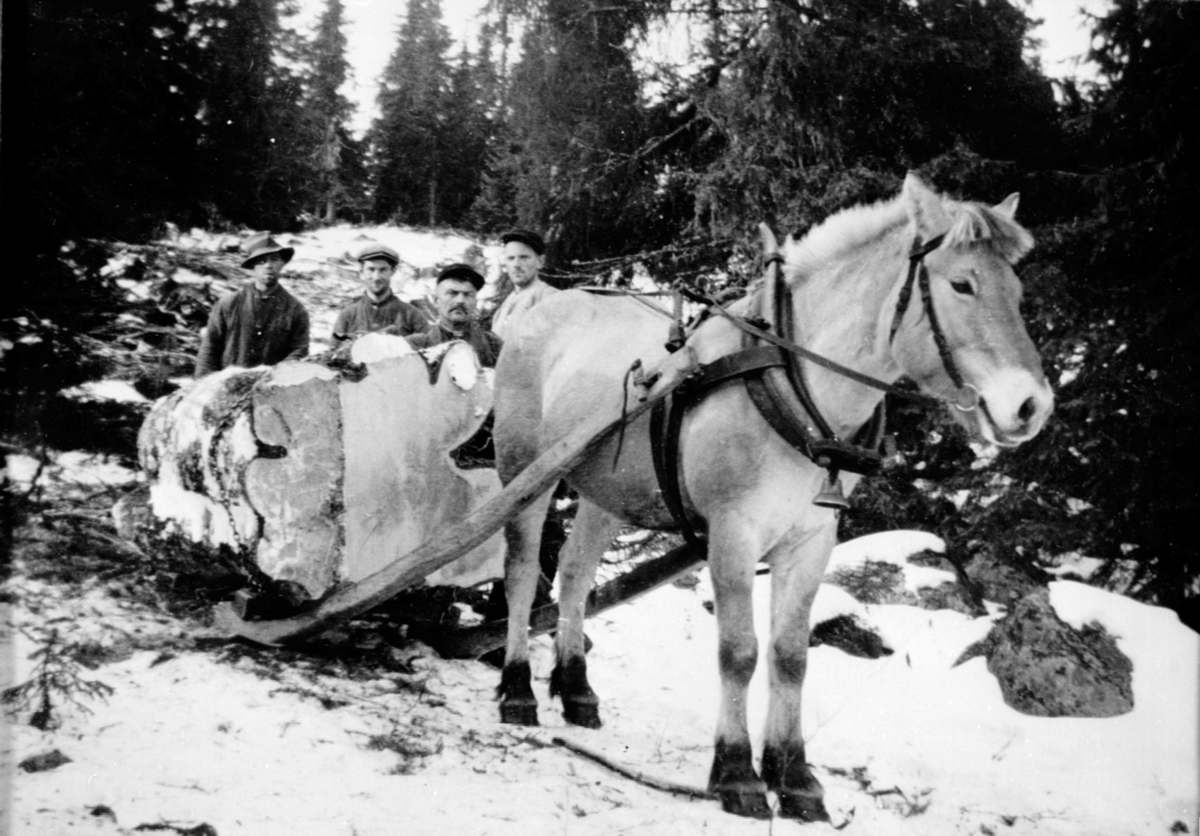 Anno Domkirkeodden, Tømmerlunning med hest og bukk ved Kvarstadseter i Åstadalen. Tømmerstokk med diameter på 1. 43 meter. Arbeidere er fra venstre Harald Håkonsen, Bjarne Nyborg, Nils Åsbrein, Einar Bygningen.DSETER