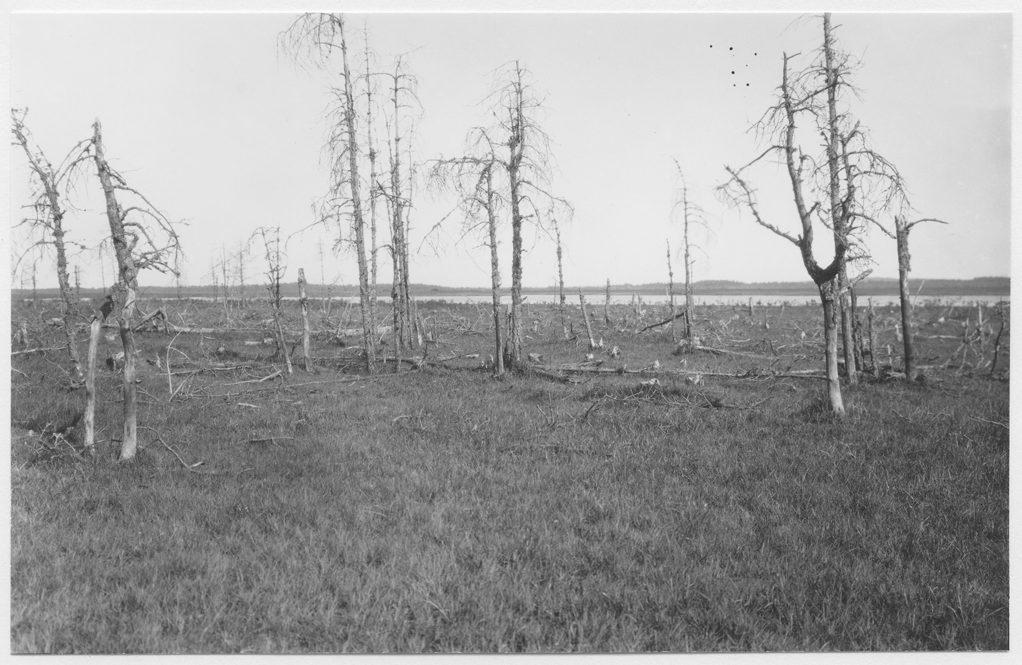 Mårten Sjöbeck, Store Mossen