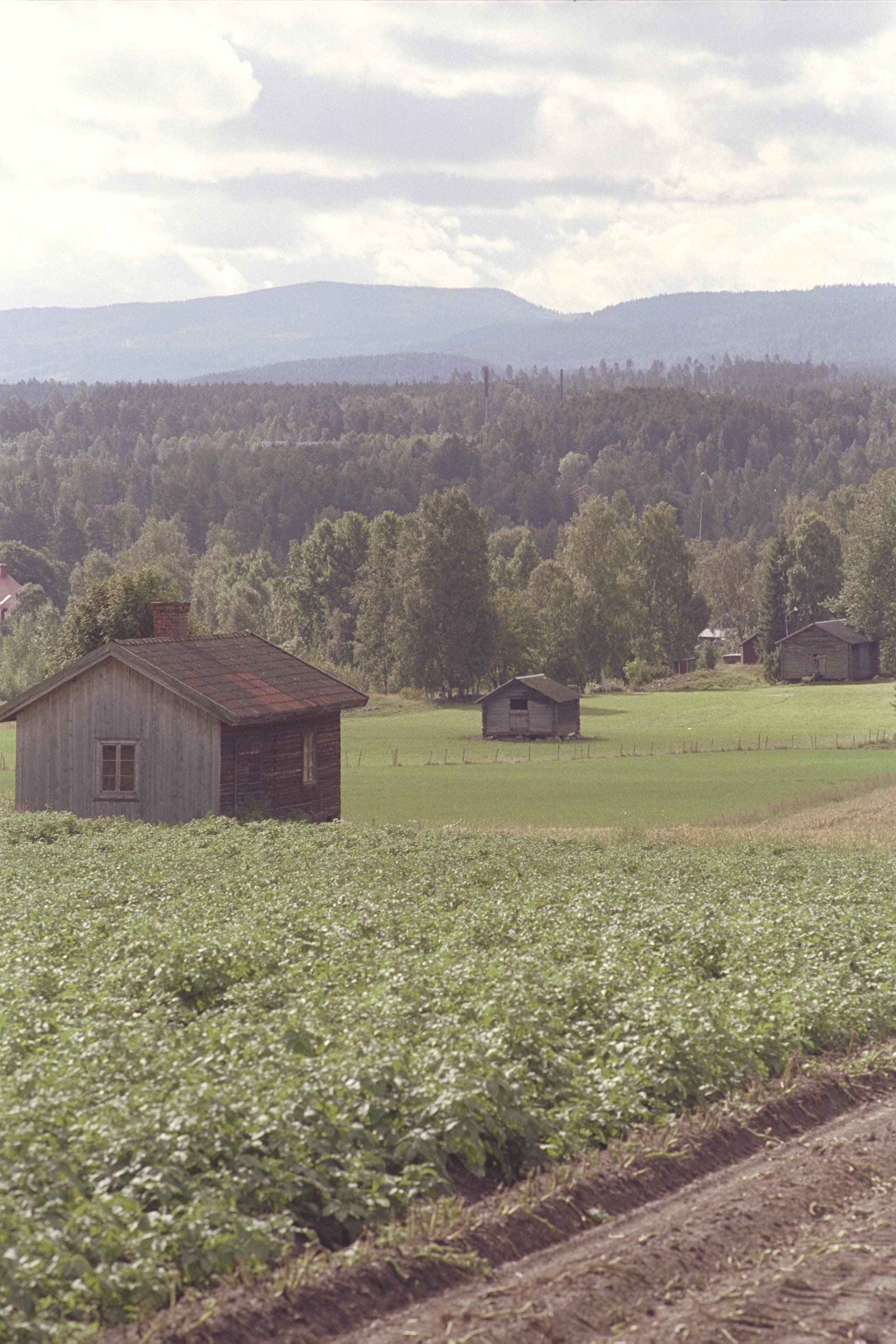 Bengt A Lundberg, Västeräng