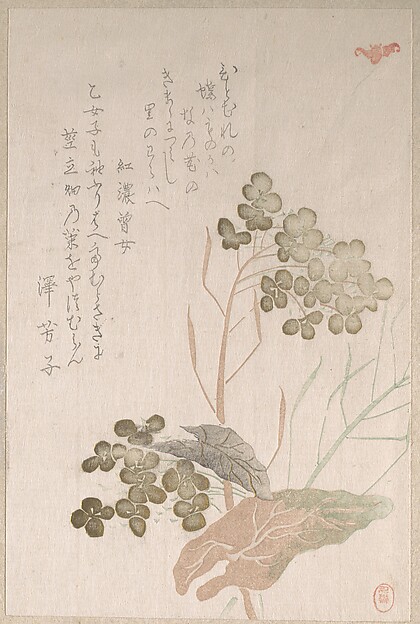 Unidentified artist, Natane Flower