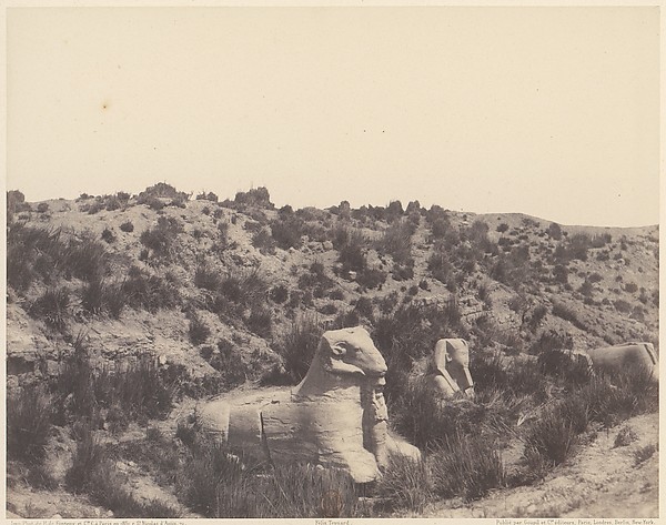 Félix Teynard, Karnak (Thèbes), Sphinx a Tête Humaine et a Tête de Bélier, en Y