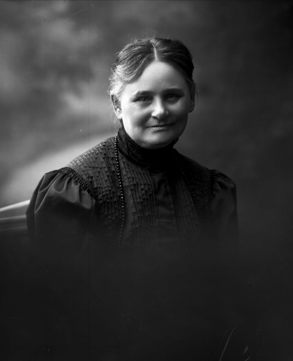 Gustav Borgen, NFB.04476
