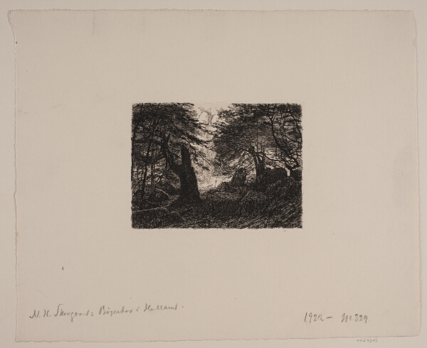 Niels Skovgaard, Bøge og sten