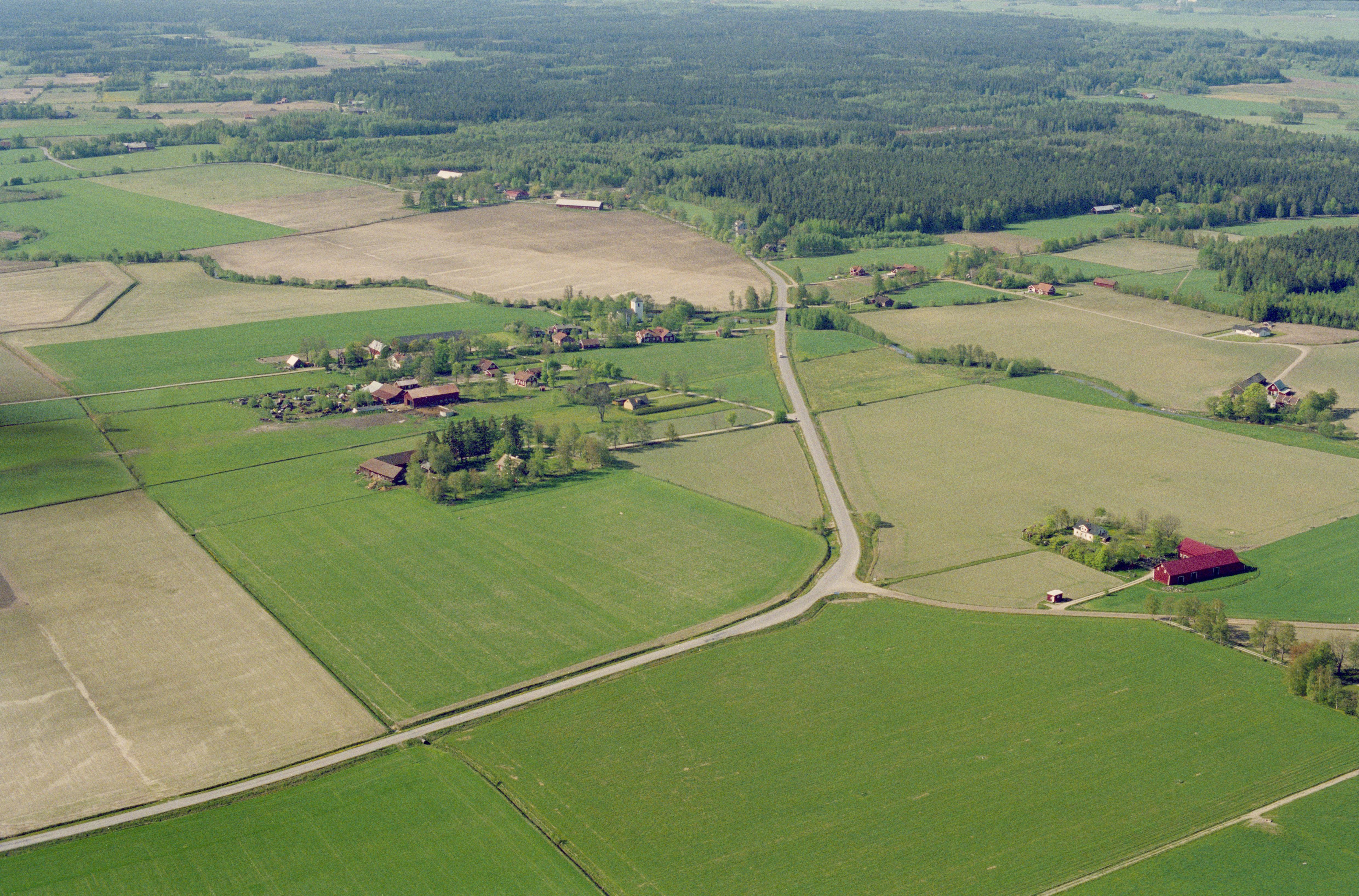 Jan Norrman, Täby