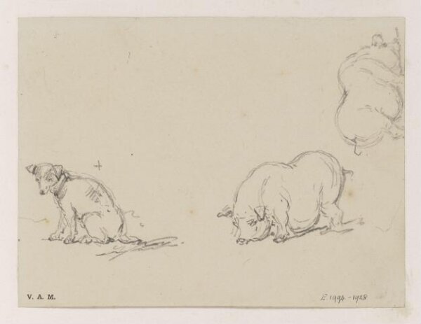 George Chinnery, Pigs and a dog