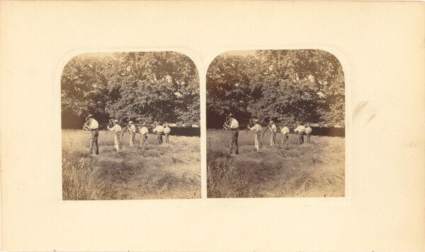Unknown, Hay-making