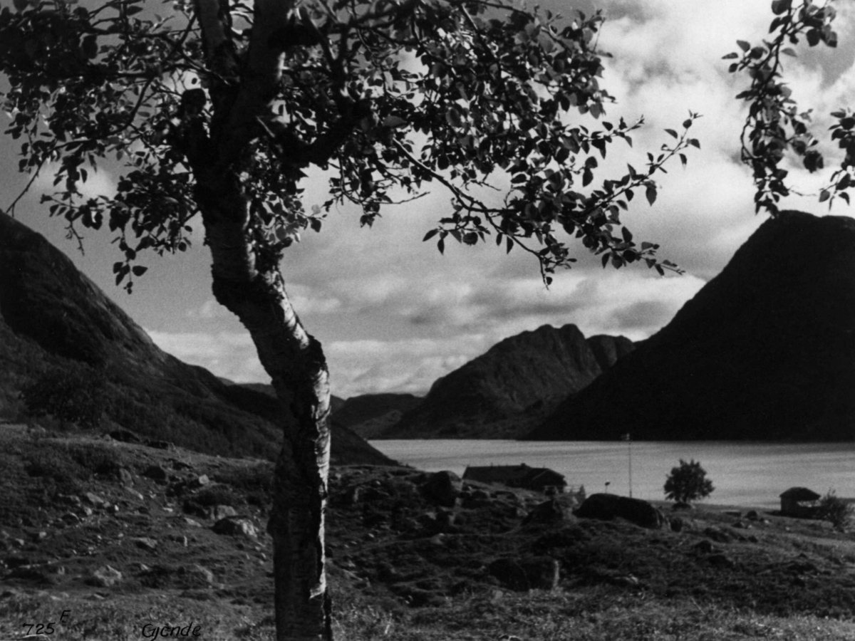 Anders Beer Wilse, Jotunheimen, Mot Gjende, Memerubu