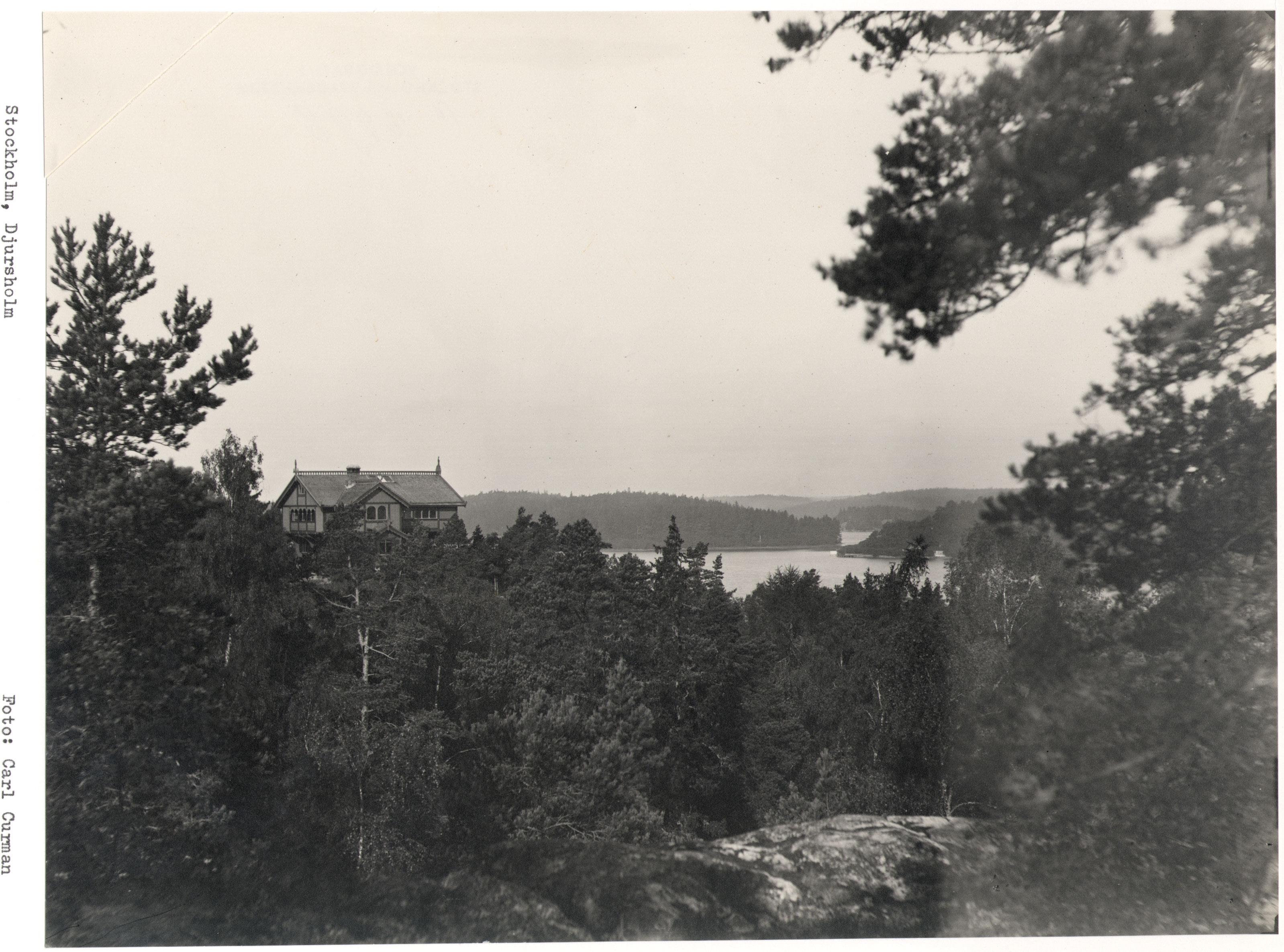 Carl Curman, Villa Sagatun