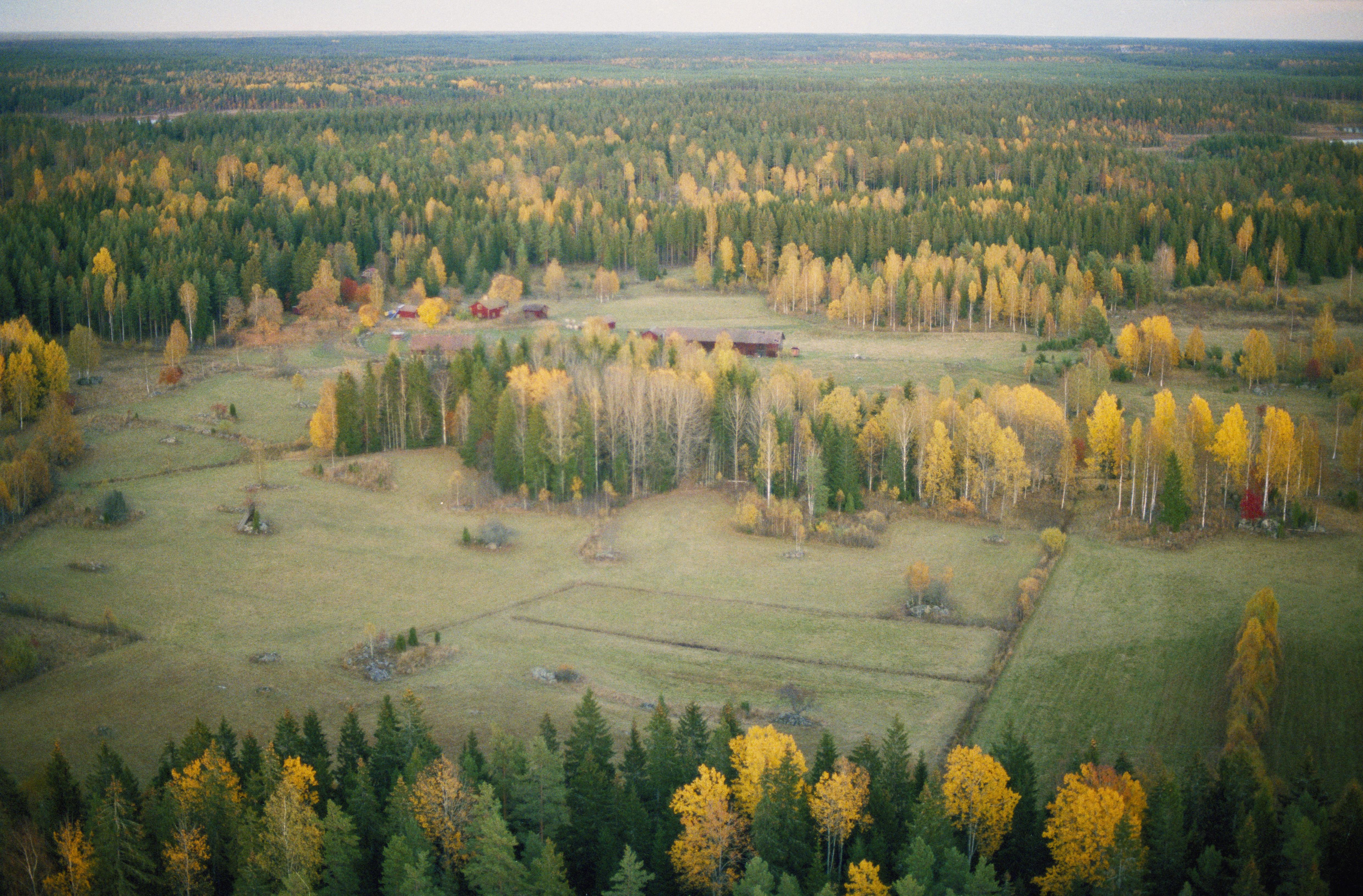 Jan Norrman, Bjursjön