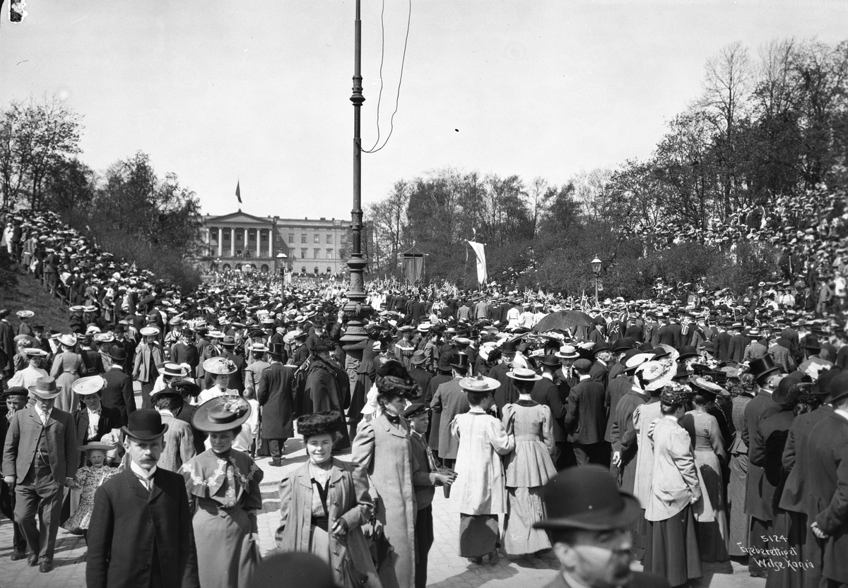 Anders Beer Wilse, Prot: 17de Mai Toget Ved Slotsbakken med Slottet 17/5 1906