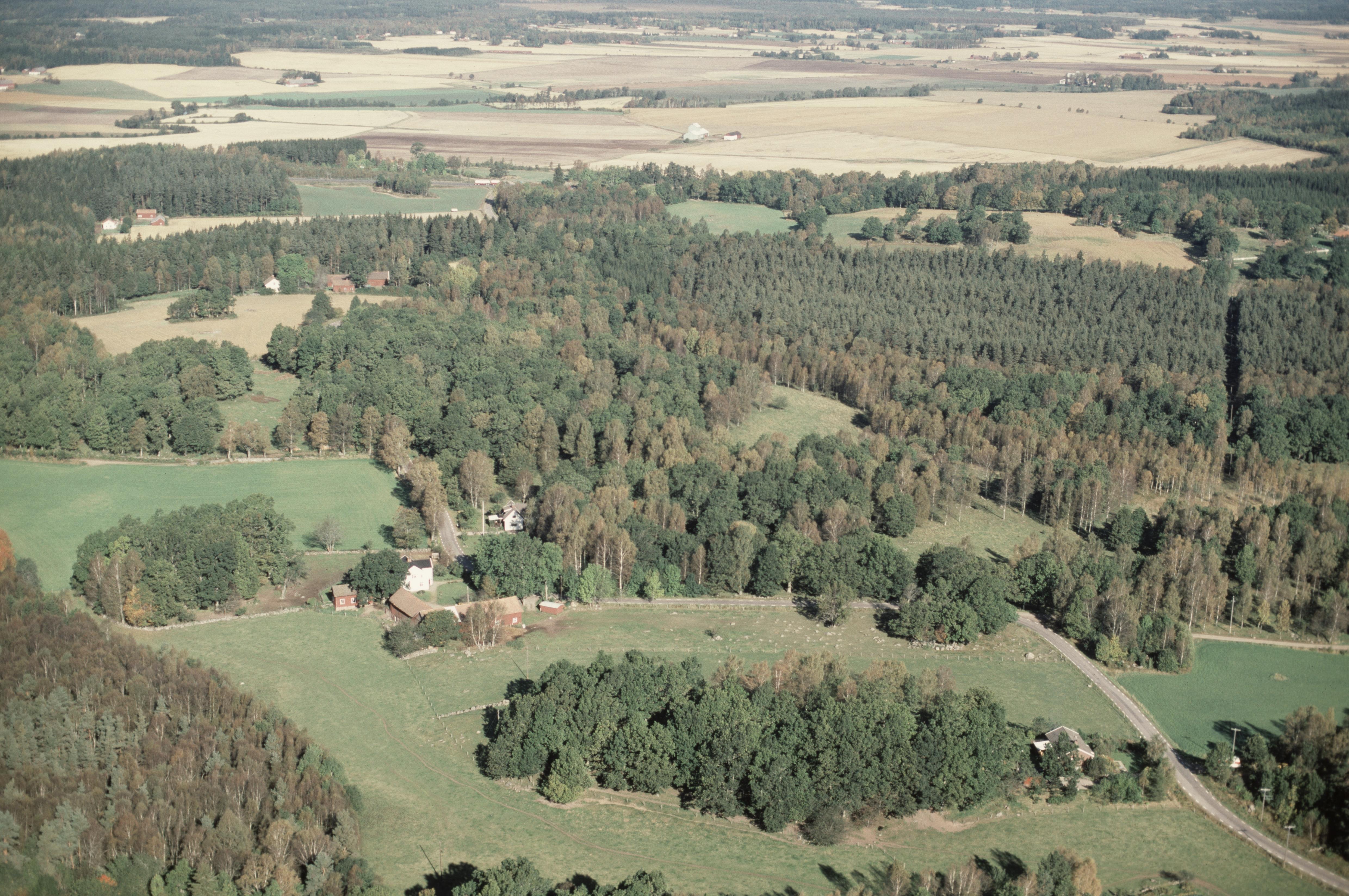 Jan Norrman, Siene