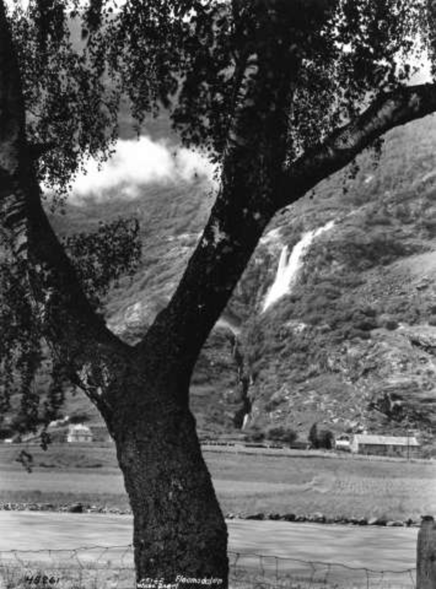 Anders Beer Wilse, -6061