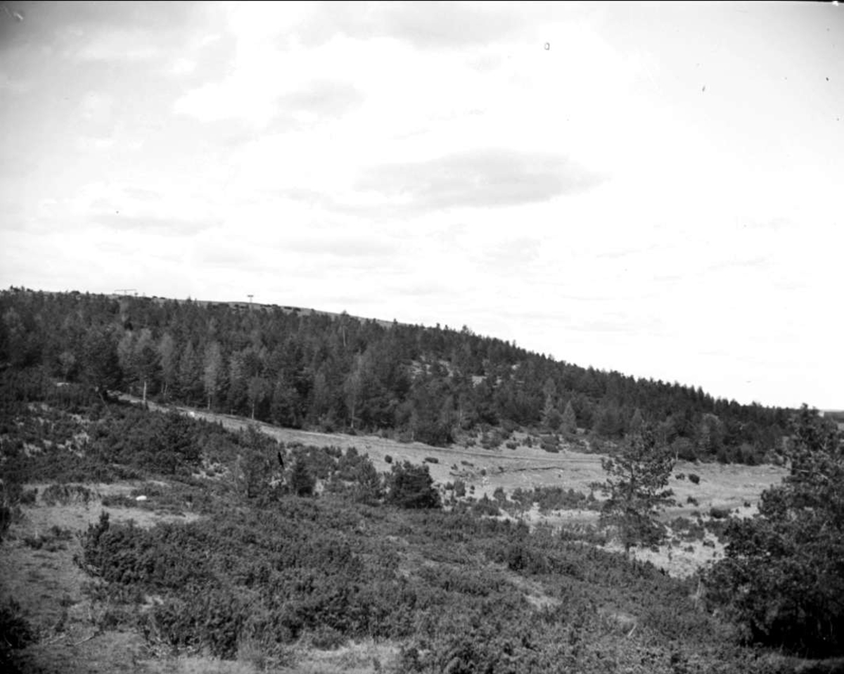 August Fredrik Schagerström, “Old Upsala, Tunåsen from the Southeast” May 1915