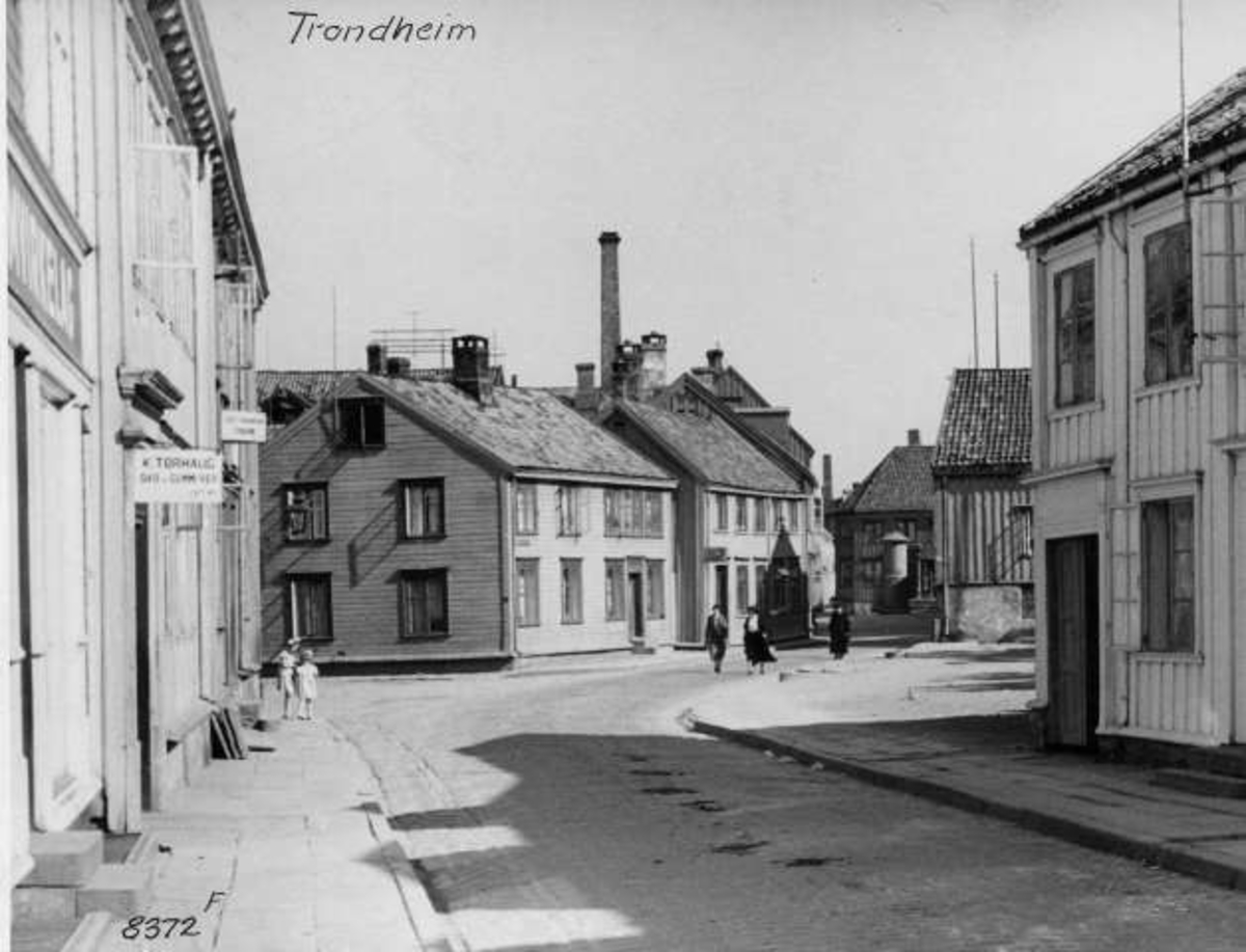 Anders Beer Wilse, -6284