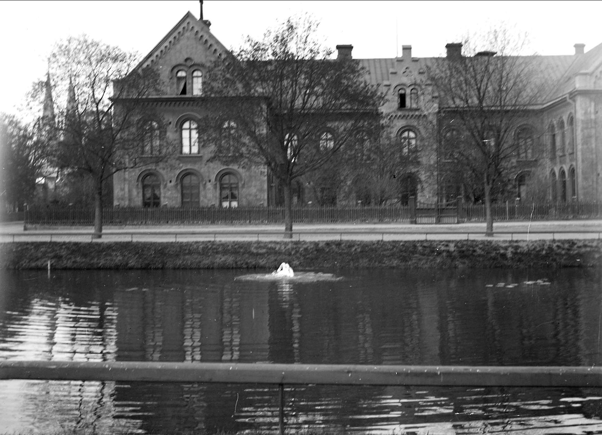 August Fredrik Schagerström, Svandammen och Anatomiska institutionen, Fjärdingen, Uppsala 1902