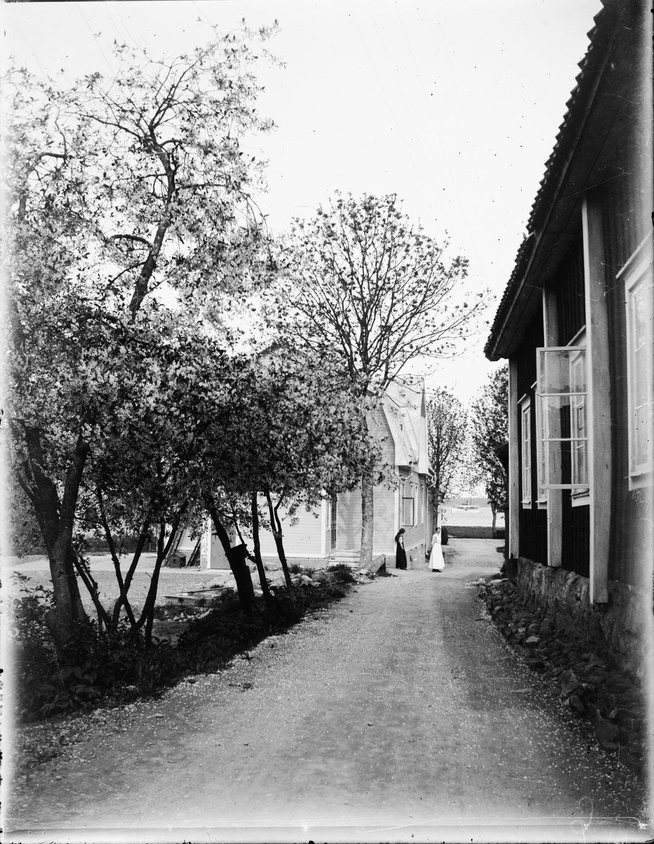 Skötsner-Edhlund, Sjögatan, Östhammar, Uppland efter 1915