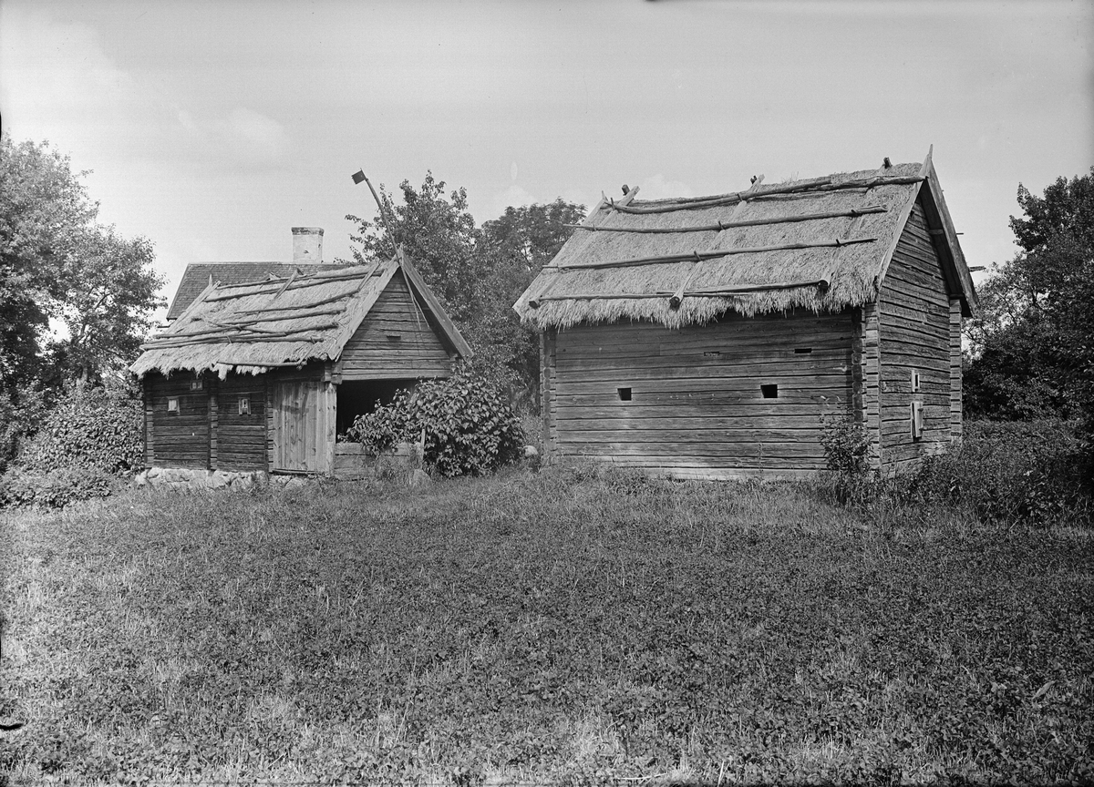 Paul Sandberg, Two Fathers - Erika Åhlén, Målsta, Bälinge parish, Uppland 1920s
