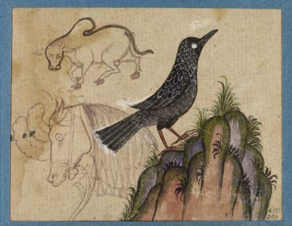 Unknown, Drawing