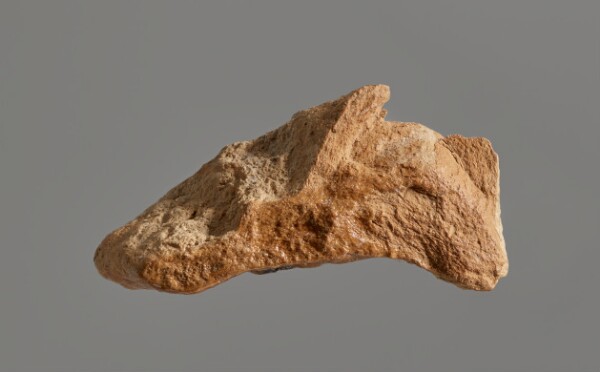 Unknown, Fragment
