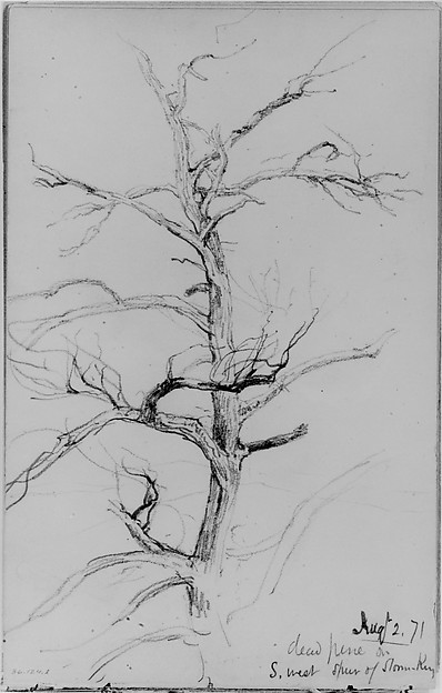 Daniel Huntington, Dead Pine, Storm King (from Sketchbook)