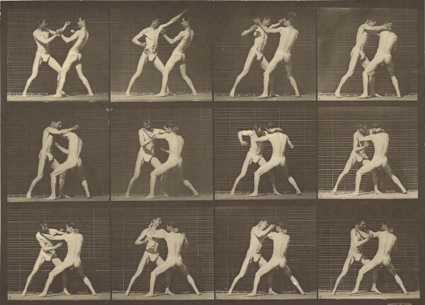 Eadweard J. Muybridge, Animal Locomotion