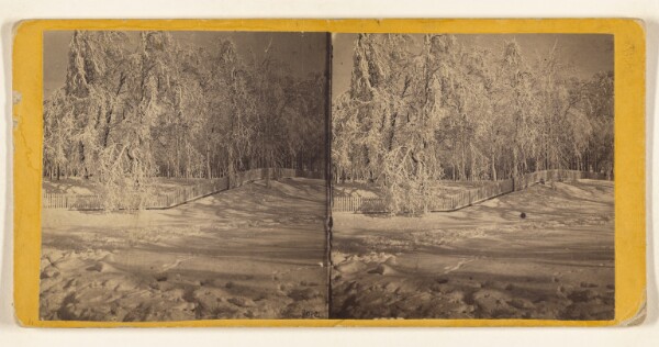 Edward and Henry T. Anthony & Co., Niagara in Winter. Trees covered with Ice, Ferry Grove, American side.