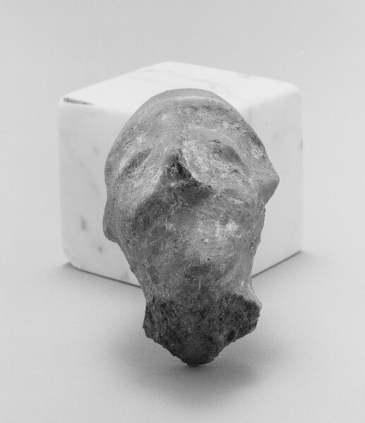 Unknown, Male Head