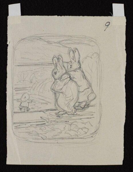 Potter, Beatrix, drawing