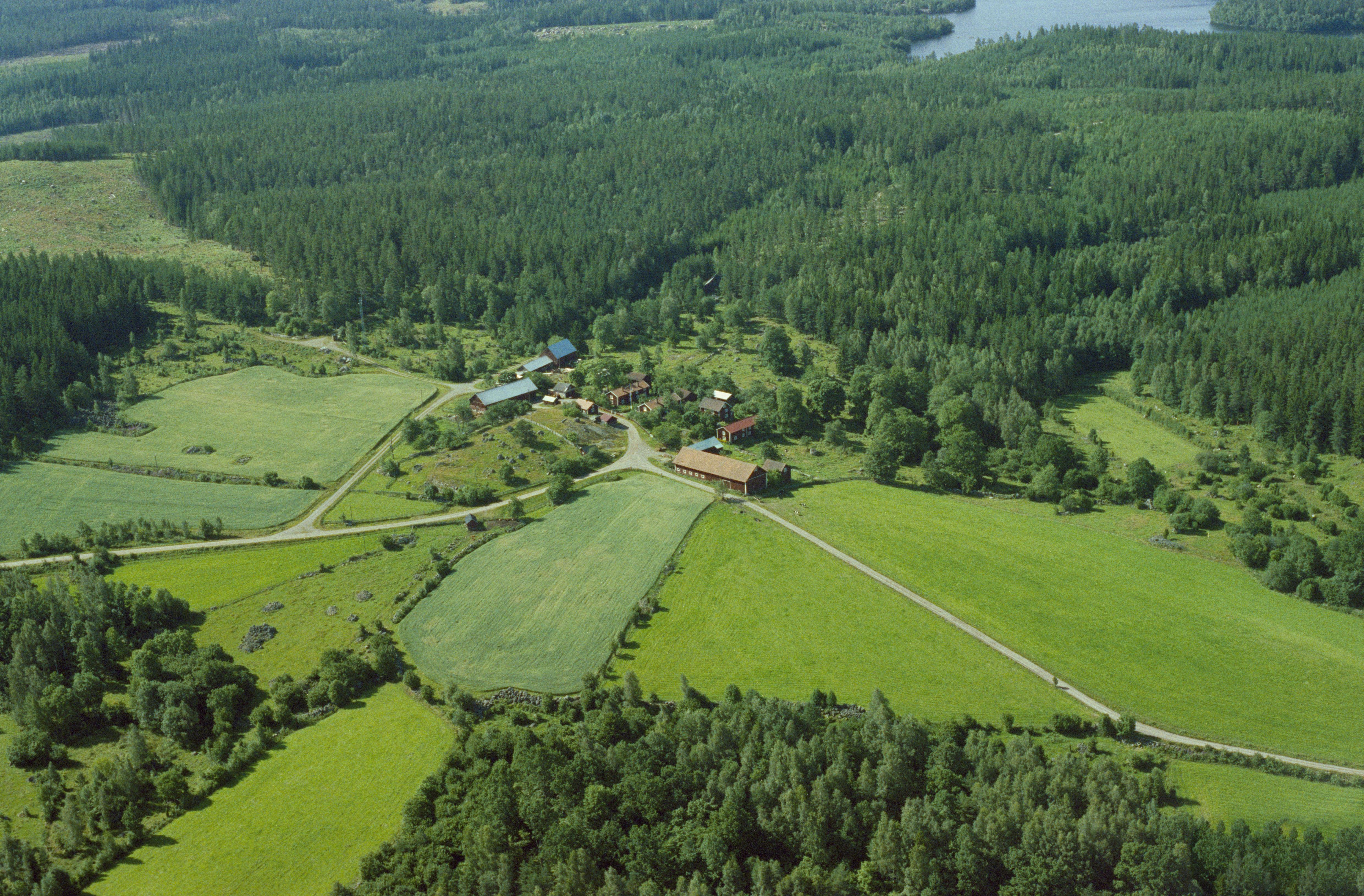 Jan Norrman, Kisa 19:1