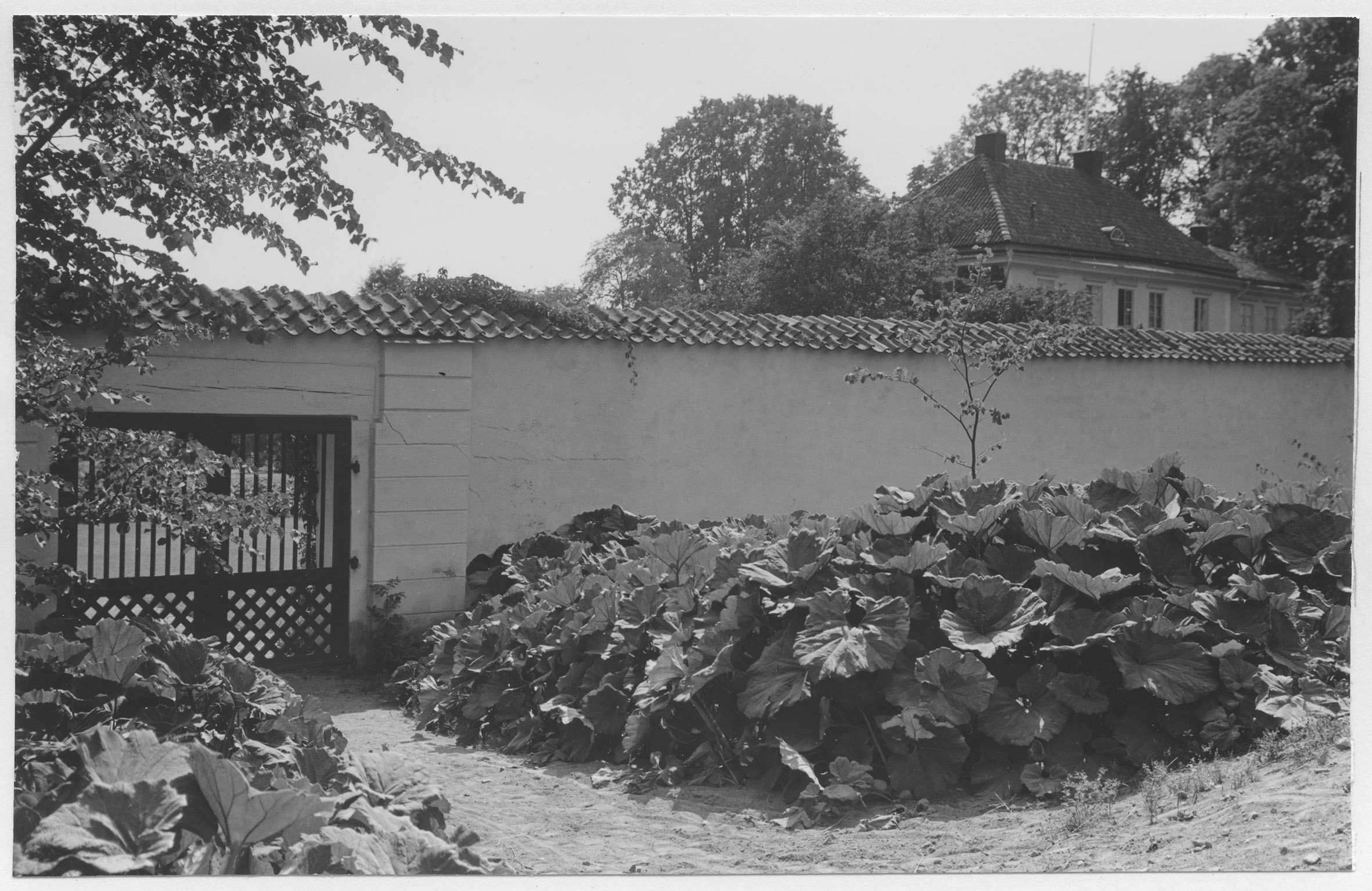 Mårten Sjöbeck, Aspa herrgård