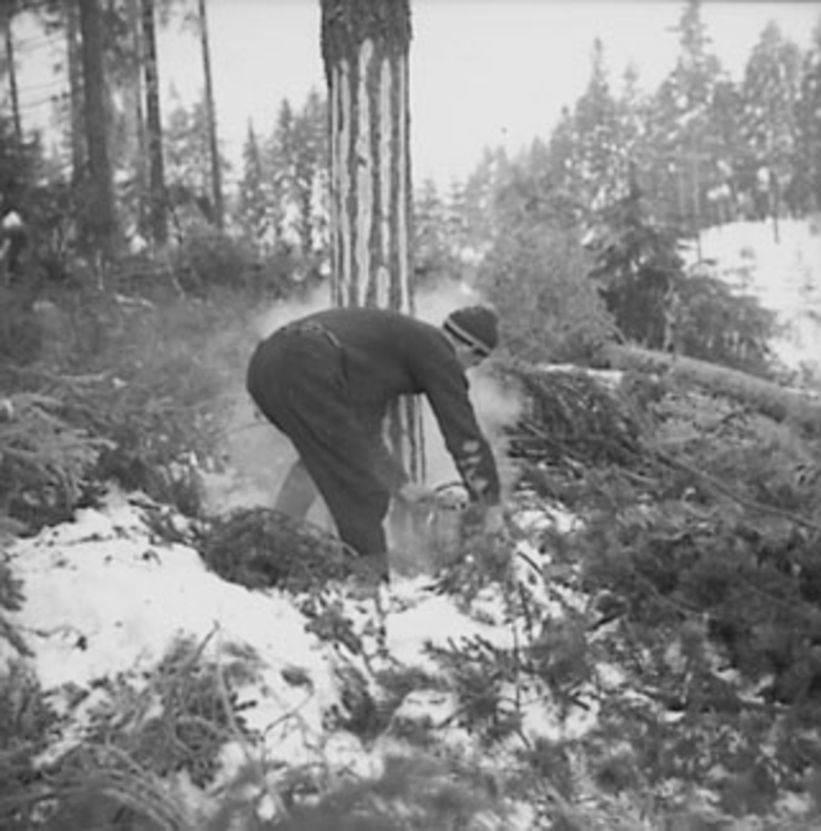 Anno Domkirkeodden, SKOGBRUK, TØMMERHUGGING, TØMMERHUGGER MED MOTORSAG, VINTER, SNEKKERSVEDRIFTA, PRESTMARKA, STANGE