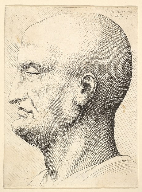 Wenceslaus Hollar, Head of a bald man in profile to left