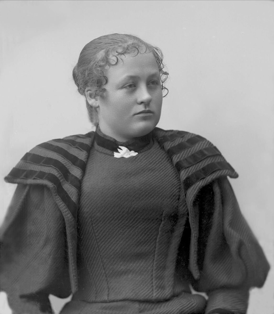 Gustav Borgen, NFB.31836