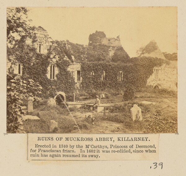 Unknown, Ruins of Muckross Abbey, Killarney