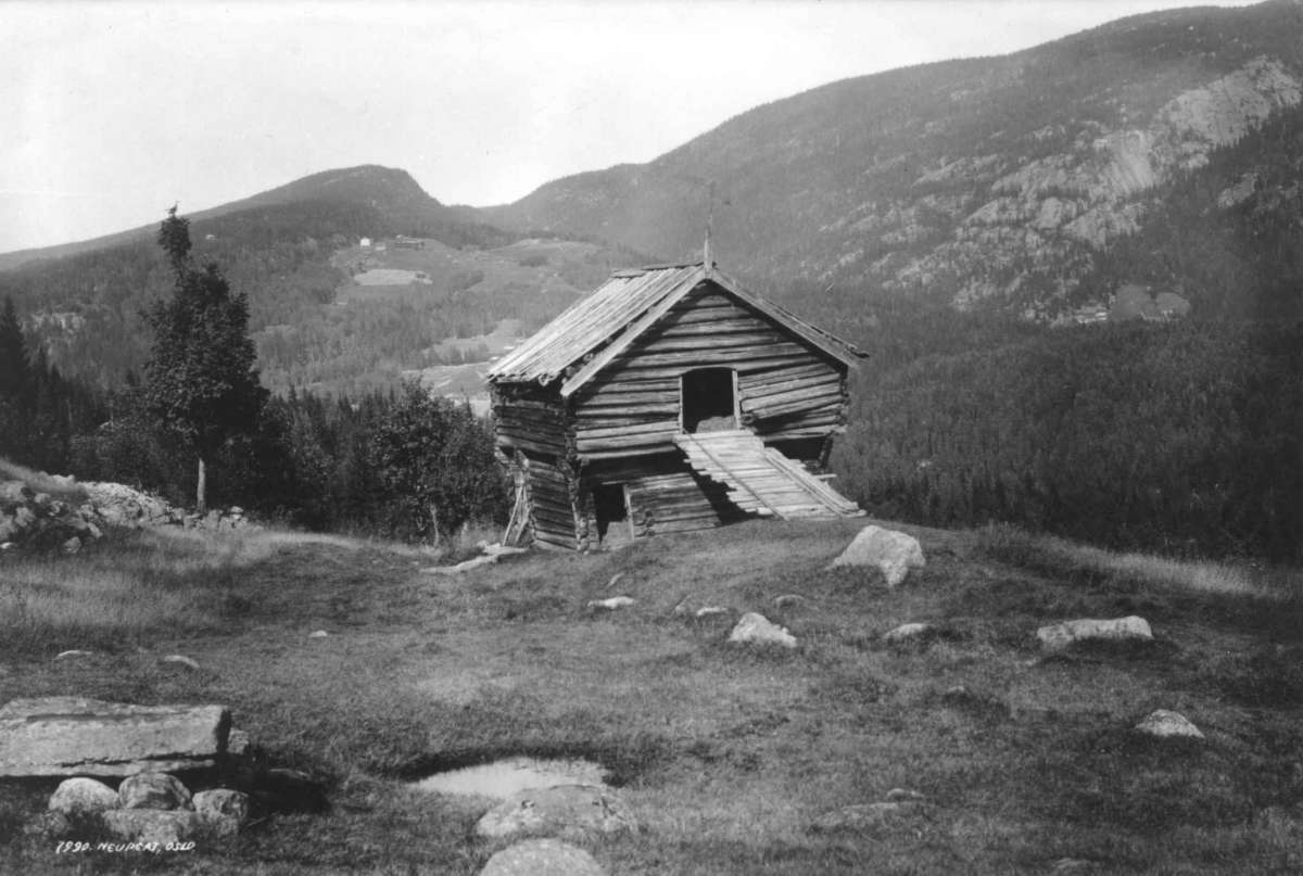 Hermann Christian Neupert, Høysel. Skog. Fjellandskap.