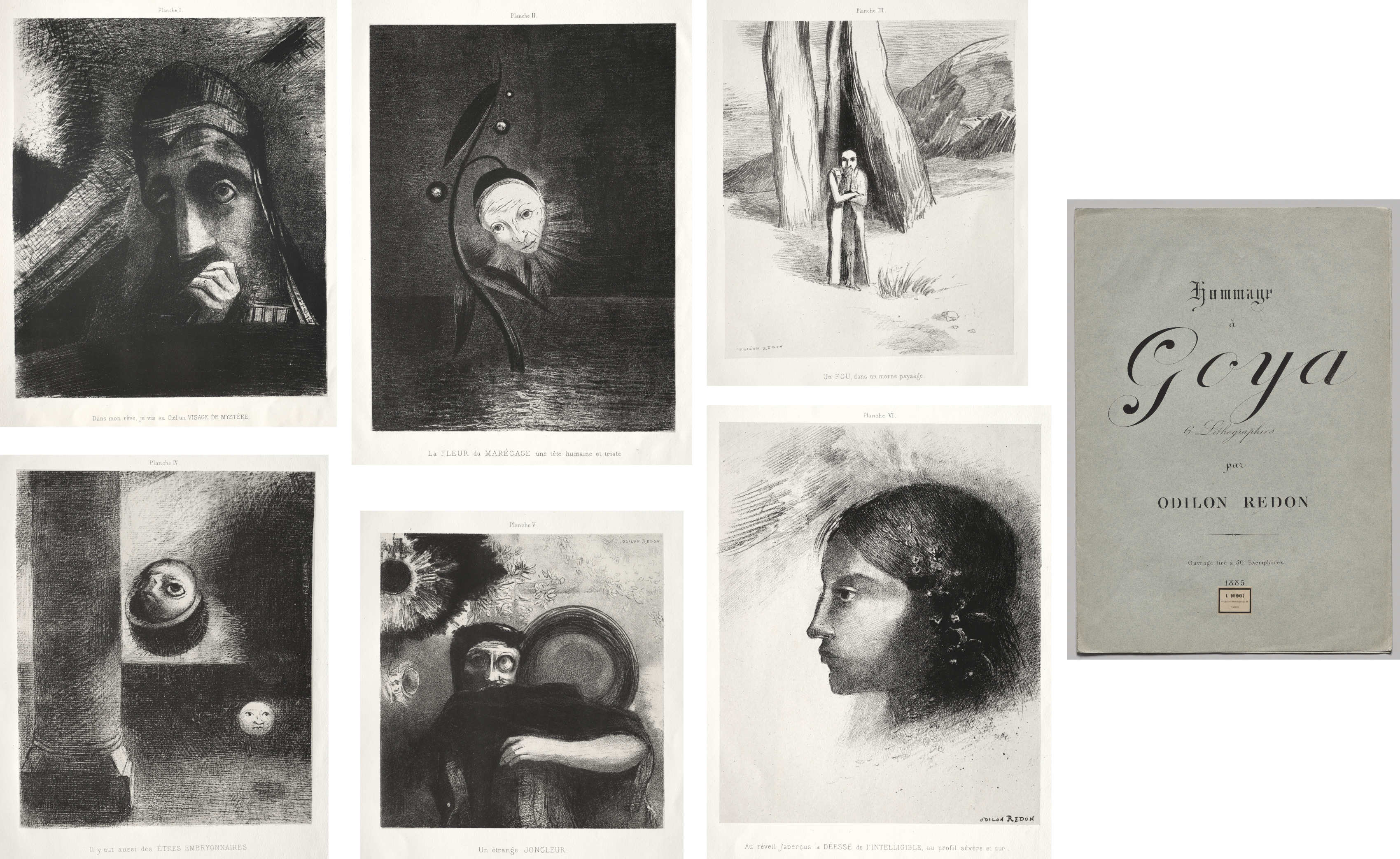 Odilon Redon, Homage to Goya