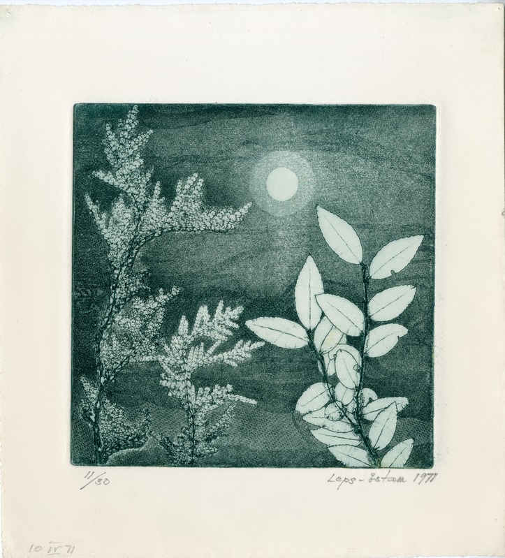 Pauline Elfriede (autor) Leps-Estam, Kuuvalgel / By Moonlight