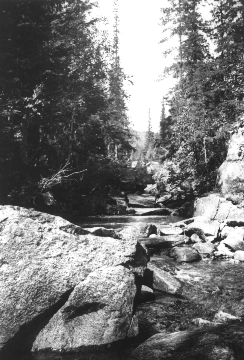Anna Grostøl, Landskap med en bekk som renner gjennom skogen. Ukjent sted 1936.