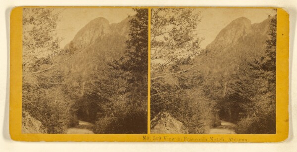 Benjamin West Kilburn, View in Franconia Notch, Autumn.
