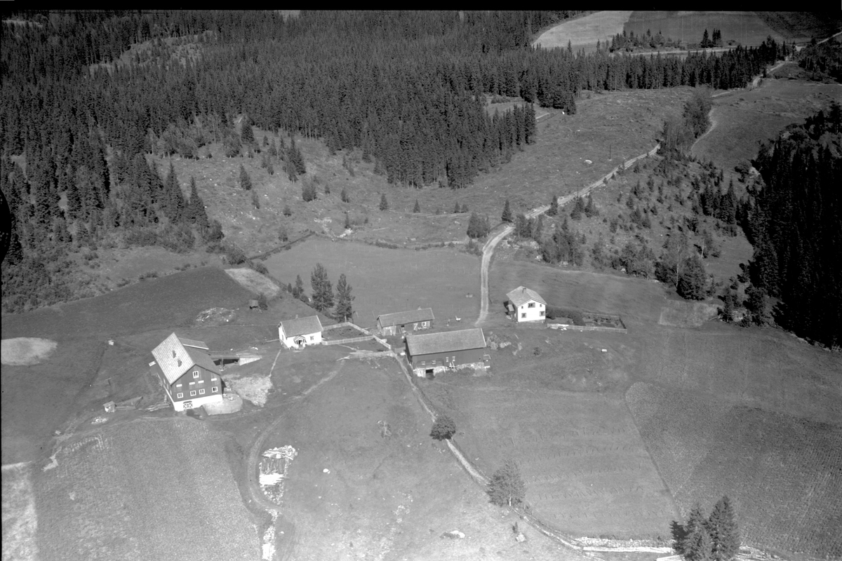 Anno Domkirkeodden, Flyfoto av Halset gard, Næroset, Ringsaker.