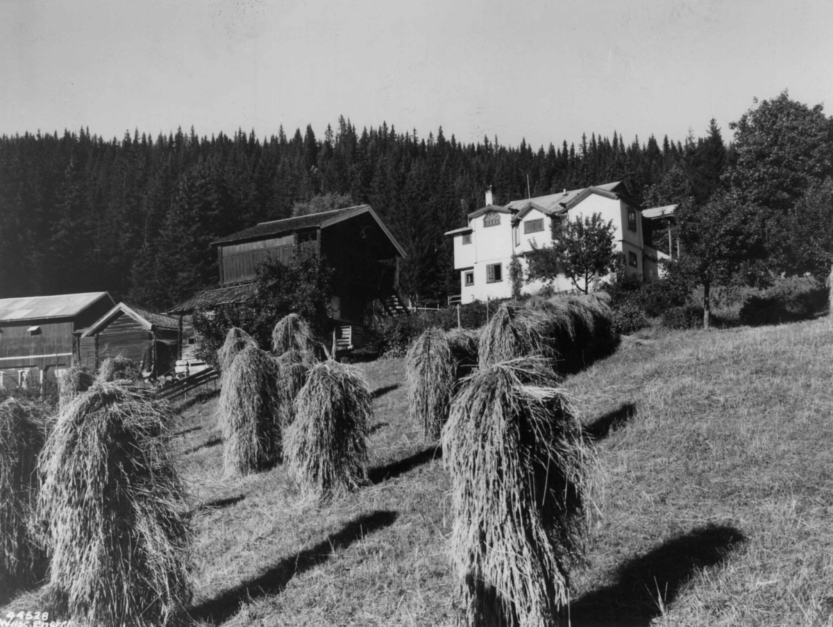 Anders Beer Wilse, Skredsvigs hjem. Landbruk