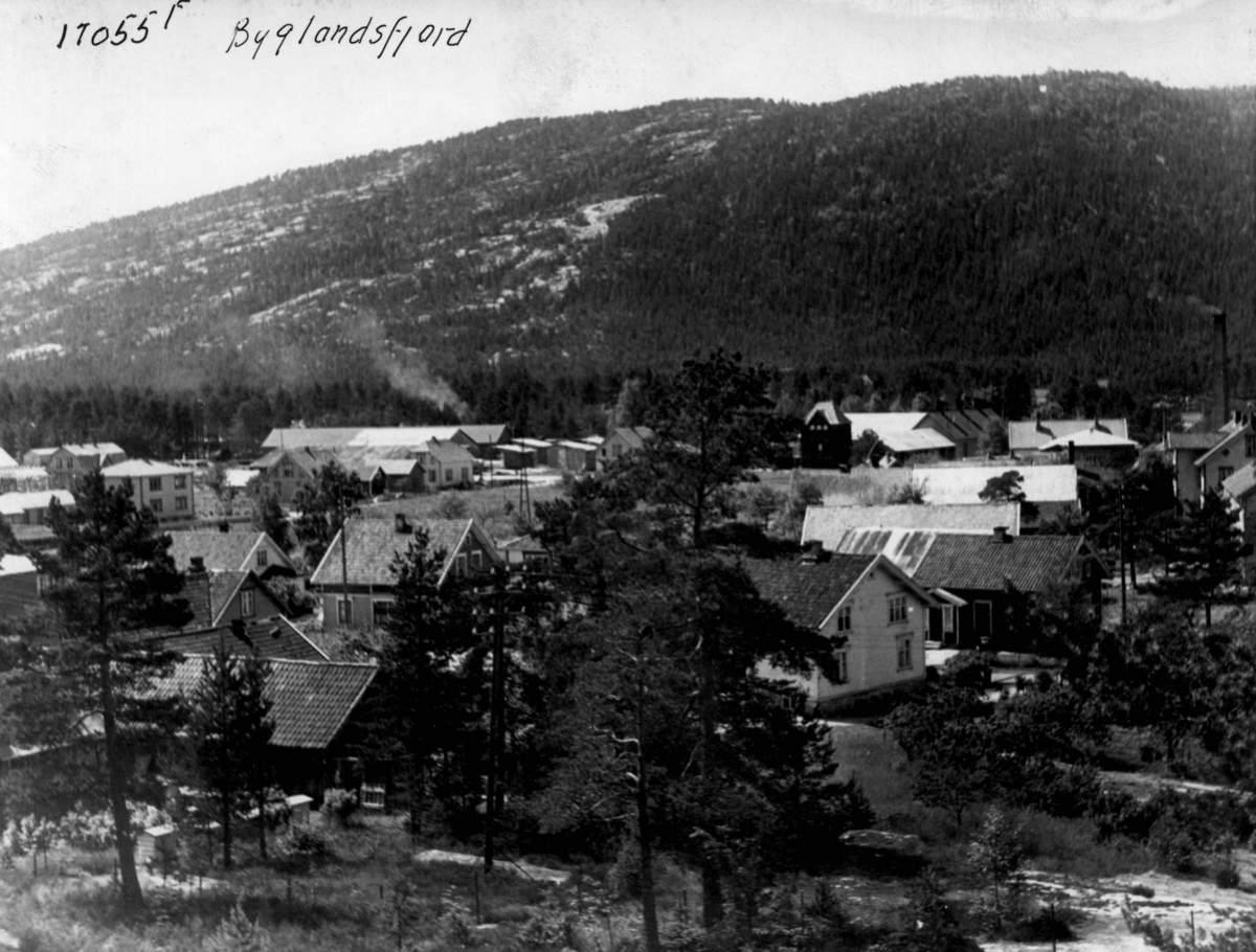 Anders Beer Wilse, Byglandsfjord